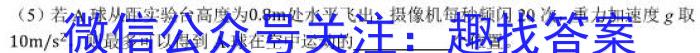 陕西省2023-2024学年度九年级第一学期阶段性学习效果评估(四)q物理