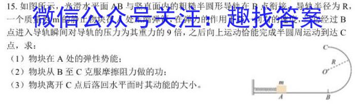 2024年普通高等学校全国统一模拟招生考试新未来高三11月联考l物理