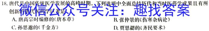 安徽省霍邱县2023-2024学年度九年级第一学期期中考试历史试卷