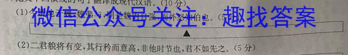 山西省2023-2024学年度七年级第一学期阶段性练习（三）语文