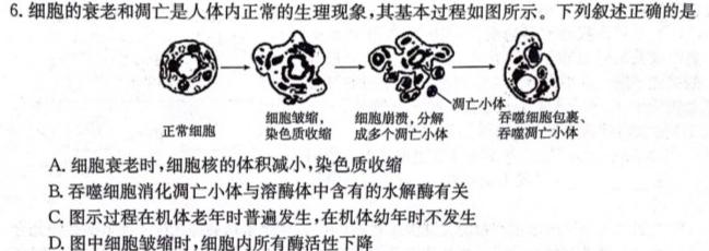 江西省瑞昌市2023-2024学年度上学期九年级期中考试试卷生物