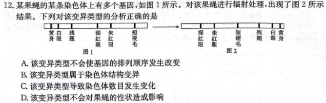 河北省沧衡八校联盟高三年级2023~2024学年上学期期中考试(24-138C)生物