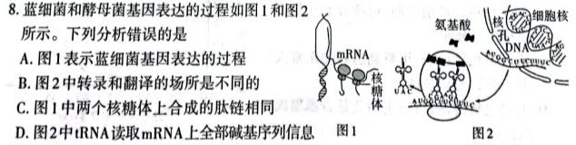 百师联盟2023-2024学年高二年级11月期中考试生物