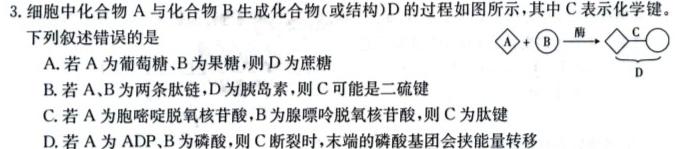 高考必刷卷 2024年全国高考名校名师联席名制(新高考)信息卷(一)生物学部分