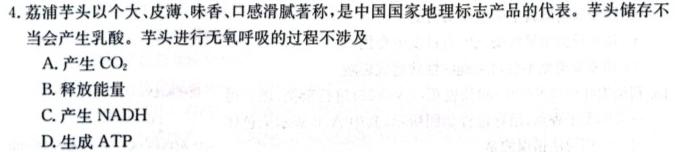 内蒙古2023-2024学年高一年级上学期11月联考生物