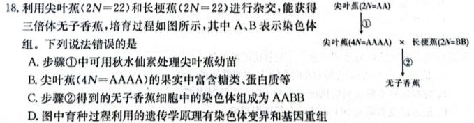 名校大联考2024届普通高中名校联考信息卷(月考三)生物