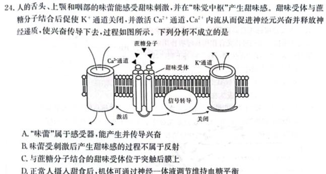 九师联盟·2024届高三11月质量检测巩固卷（LG）生物