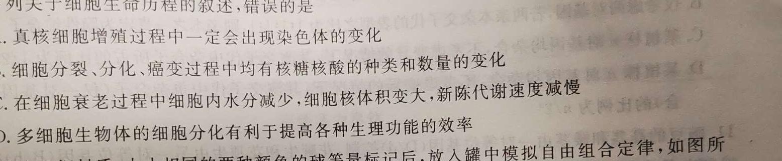 山东普高大联考11月联合质量测评试题（2023.11）生物学试题答案