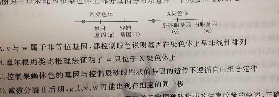 2024年普通高等学校招生统一考试 最新模拟卷(二)生物学试题答案