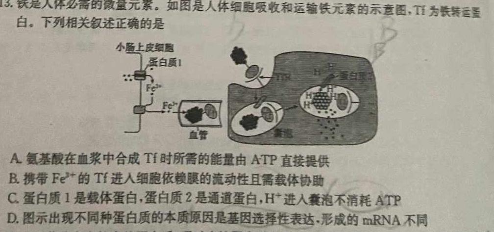 安徽省合肥市某校2023-2024学年九年级阶段检测生物