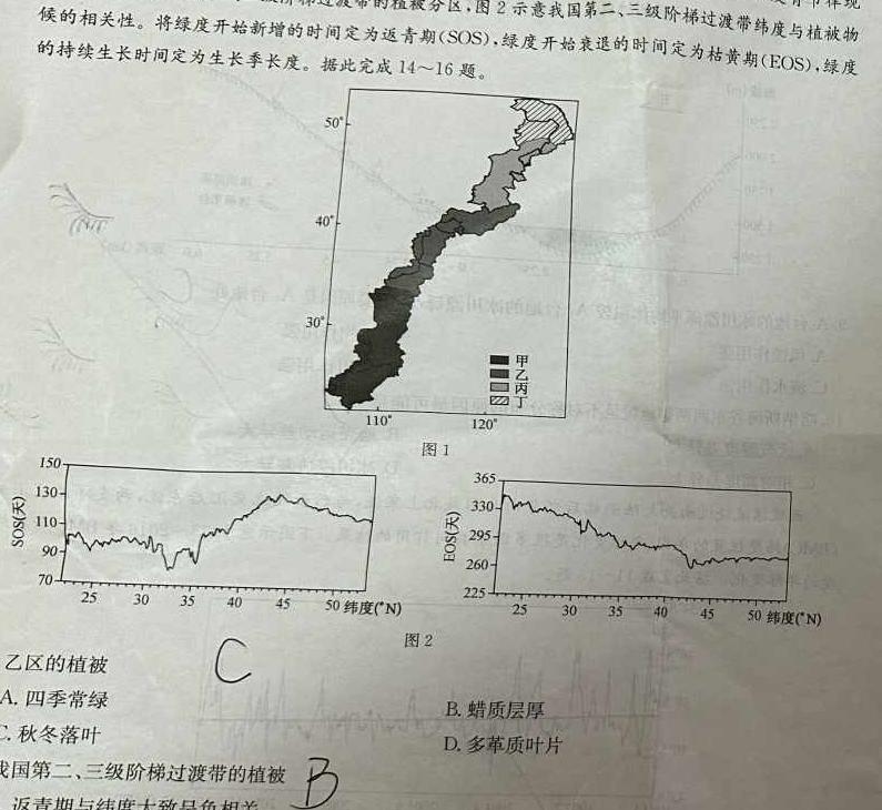 天一大联考 2024-2025学年(上)高二年级开学考地理试卷l