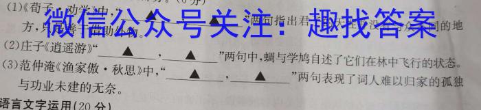 湖南省2024届高三11月质量检测(2023.11)语文