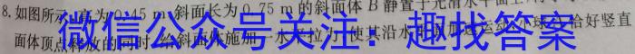 高考快递 2024年普通高等学校招生全国统一考试信息卷(一)1新高考版物理试卷答案