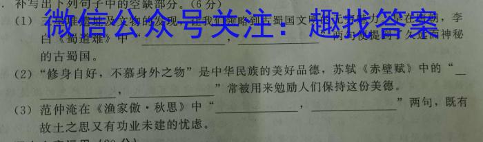 九师联盟 河南省中原名校联盟2024届高三上学期11月教学质量检测语文