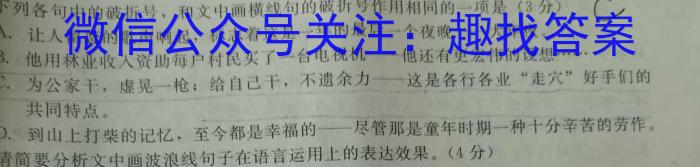 安徽省滁州市天长市2023-2024学年度（上）九年级第二次质量检测/语文