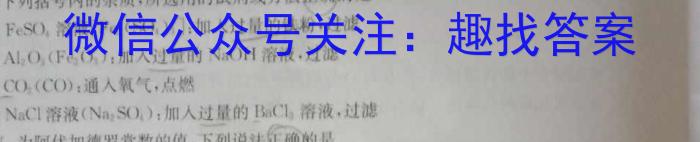 3江西省2023年南昌县九年级第一次评估检测(24-10-CZ45c)化学试题