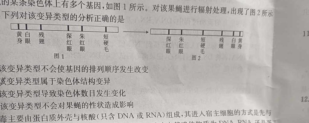 山西省2023-2024学年度第一学期期中学情调研（九年级）生物