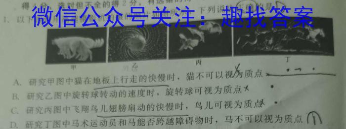 金考卷 百校联盟(新高考卷)2024年普通高等学校招生全国统一考试 领航卷(1)物理试题答案