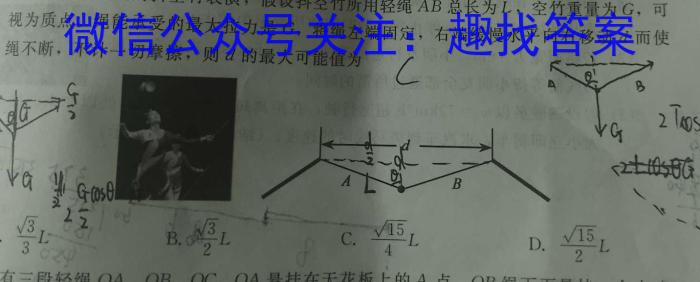 河北省2023-2024学年度第一学期高一年级11月份月考l物理