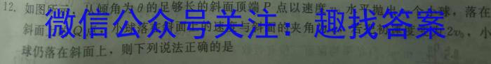 广东省2024届普通高中毕业班第二次调研考试(11月)物理`