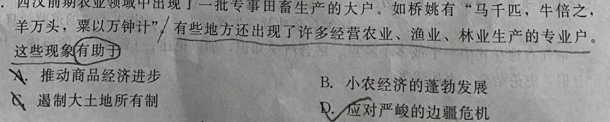 山东省2023-2024学年高三年级新高考联合质量测评12月联考历史