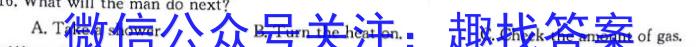 安徽省三海等地教育联盟2023-2024学年九年级上学期11月期中考试英语试卷答案