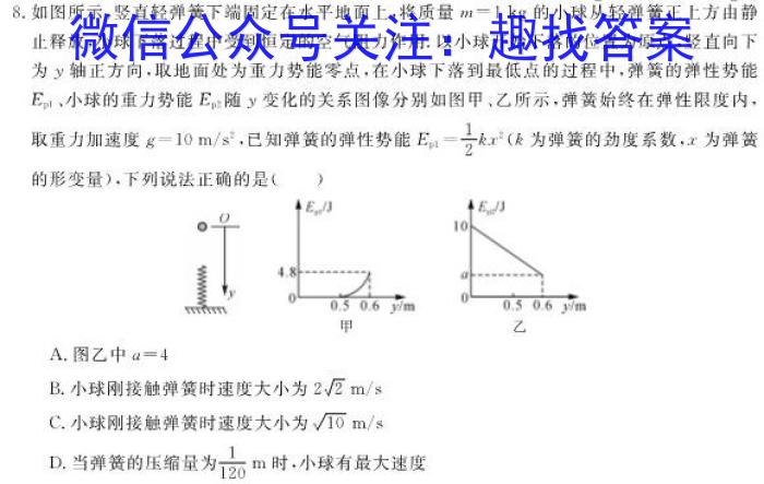 九师联盟·2024届高三11月质量检测巩固卷（新教材-LG）z物理