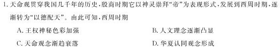 江西省瑞昌市2023-2024学年度上学期九年级期中考试试卷历史试卷答案