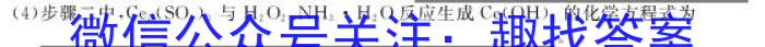 q安徽省2023-2024学年九年级第一学期教学质量检测（二）化学