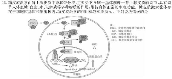 2023年秋季黄冈市部分普通高中高三年级阶段性教学质量检测生物学部分