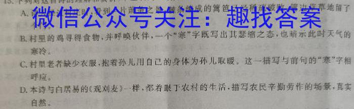 山西省2023-2024学年12月份九年级阶段质量检测试题（卷）语文