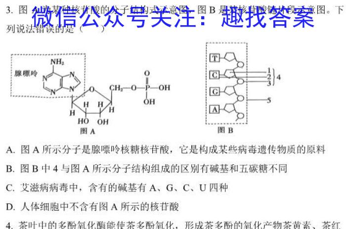 黑龙江名校联盟2024届高三模拟测试生物学试题答案