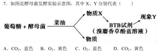 2024届高三第四次大联考试卷生物学试题答案