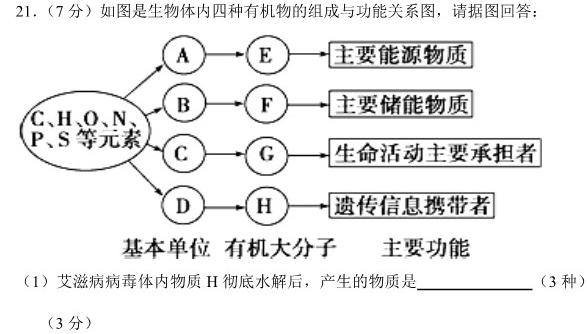 湖南省2024届高三九校联盟第一次联考(12月)生物学部分