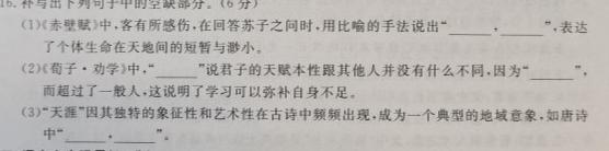 2024届山东省临沂市高三教学质量检测考试(11月)语文