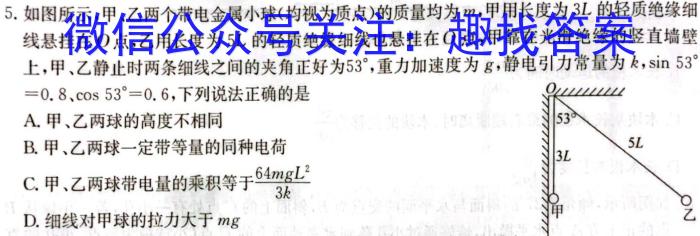 2024届江西省九江市九年级教学质量检测（二）q物理