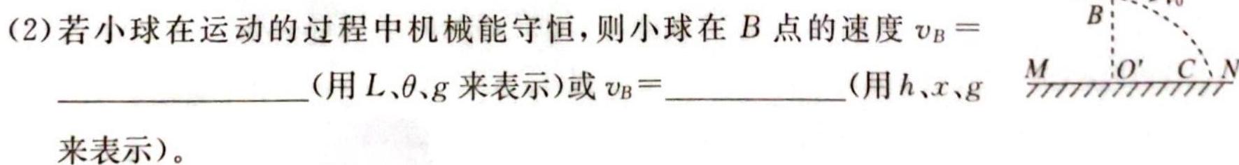 河南省2025届八年级第一学期学习评价（2）［12.6］物理试题.