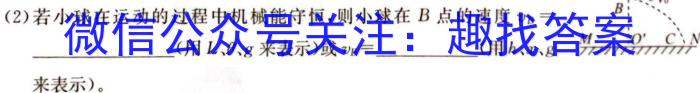 内蒙古2024届高三11月联考物理`