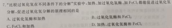 高考快递 2024年普通高等学校招生全国统一考试信息卷(一)1新高考版生物学部分