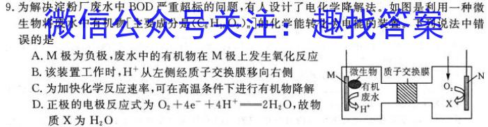 f安徽省2023-2024学年度八年级上学期阶段性练习（二）化学