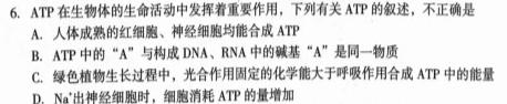 内蒙古2024届高三11月联考生物学试题答案