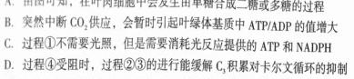 山东省泰安市肥城市2023-2024学年高一年级上学期期中联考生物学试题答案