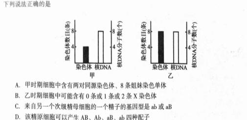 重庆市2023-2024学年度高一年级12月联考生物学试题答案