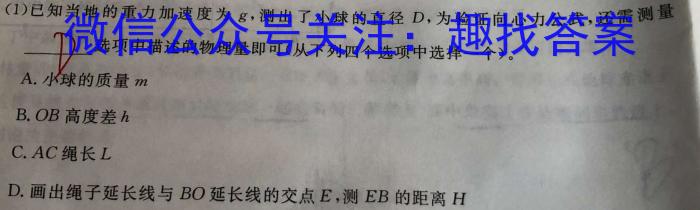 河北省沧州市2023-2024学年度九年级第一学期期中教学质量评估q物理