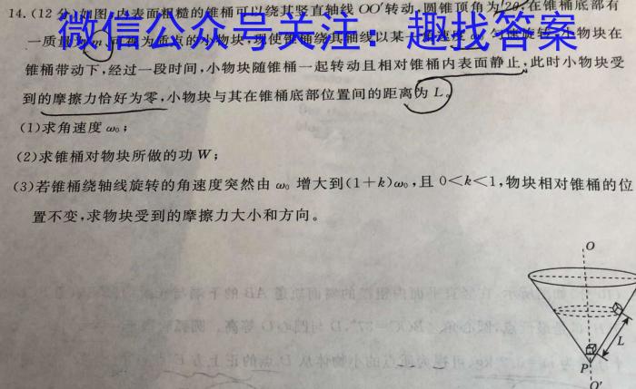 百校名师 2024普通高中高考模拟信息卷(五)物理试卷答案