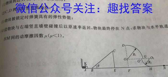 河南省2023-2024学年度高二年级12月八校联考q物理