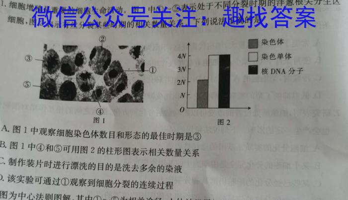 甘肃省2024届高三12月高三阶段检测生物学试题答案