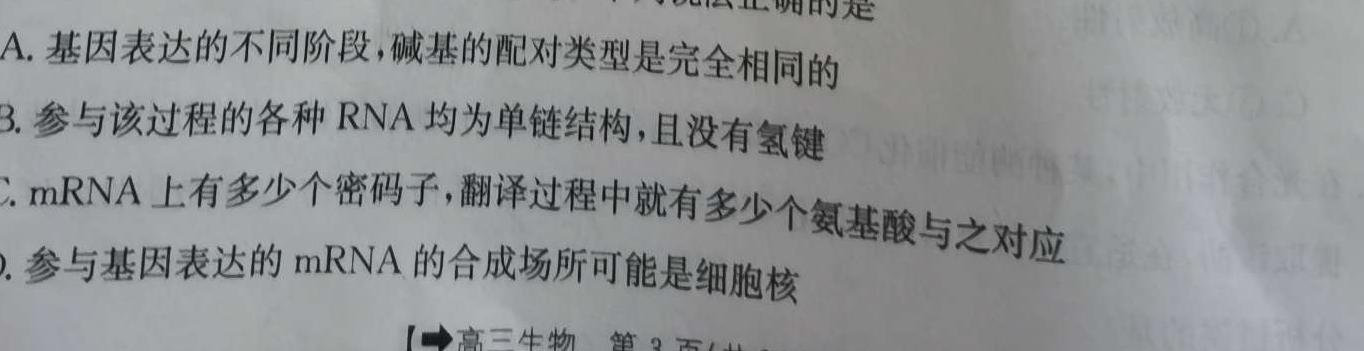 2024年普通高等学校全国统一模拟招生考试新未来高一12月联考生物学试题答案