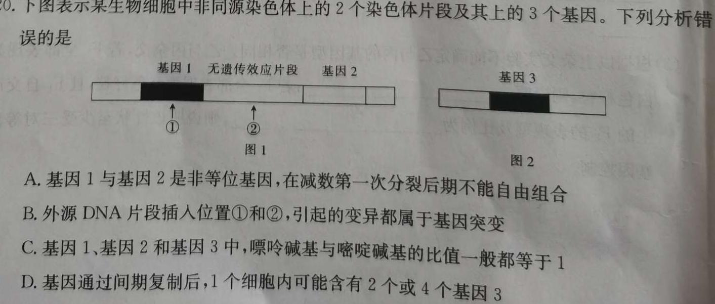 2024新高考单科综合卷(四)生物学试题答案