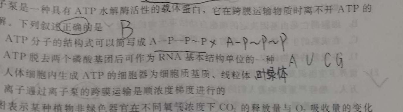 金科大联考·山西省2024届高三11月联考生物学试题答案